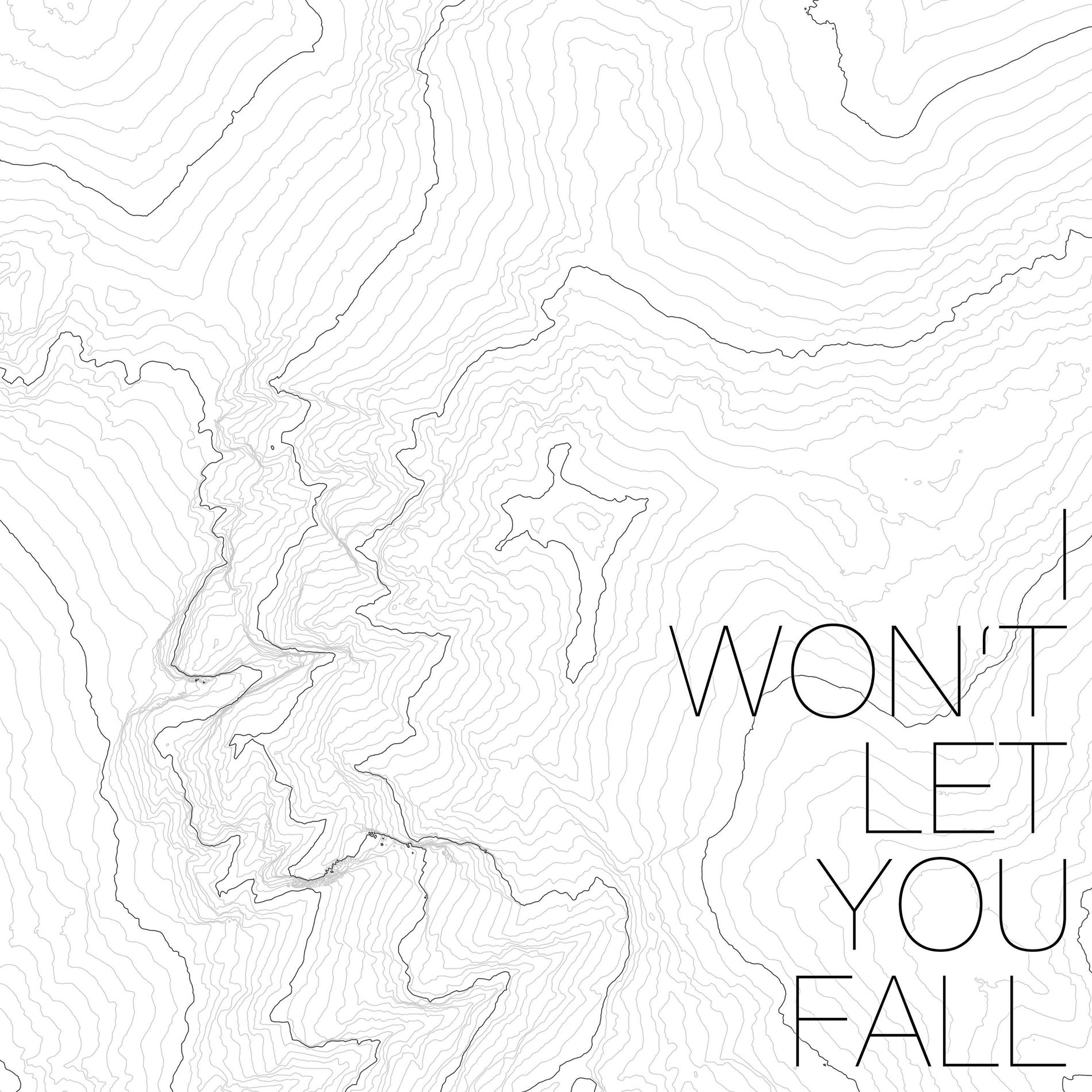 Album cover of I Won't Let You Fall