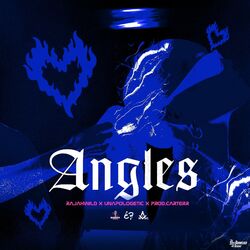 Cover of Angles