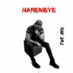 Cover of Naremeye
