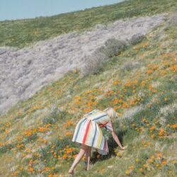Cover of Amare