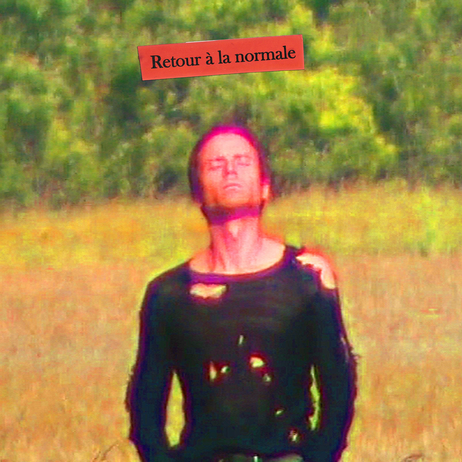 Album cover of Retour à la normale