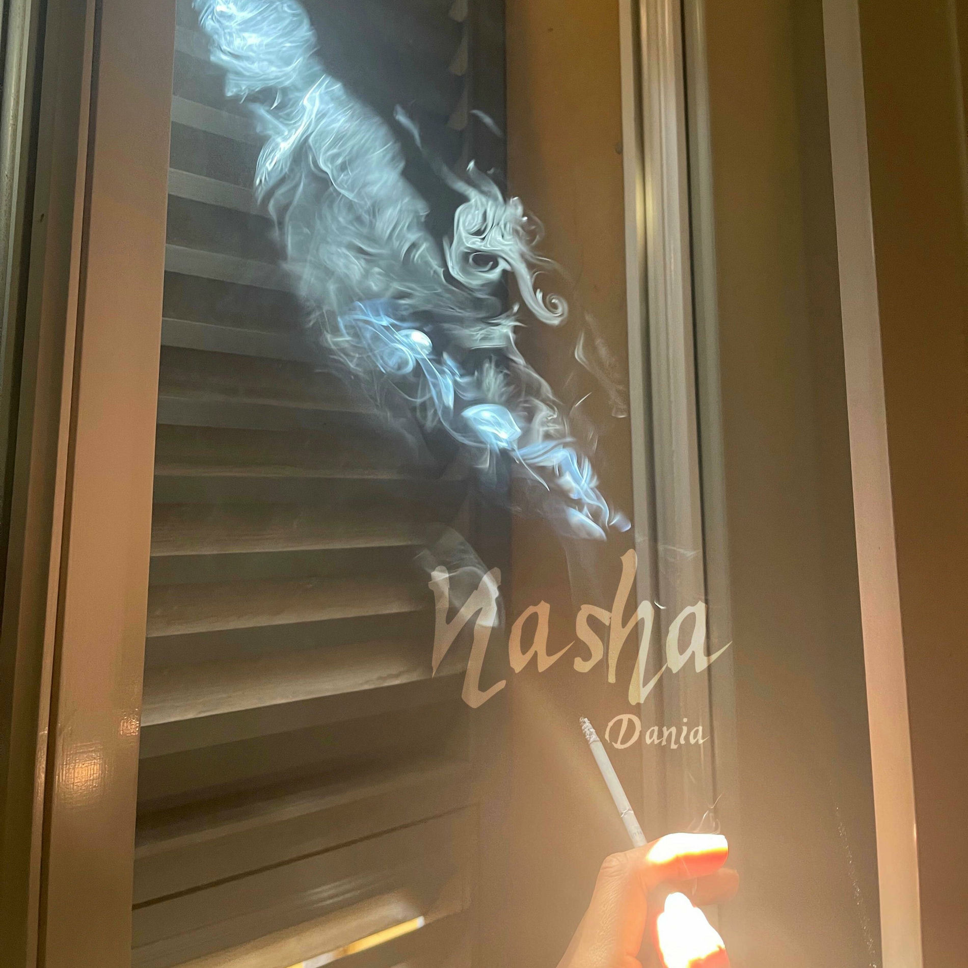 Album cover of Nasha