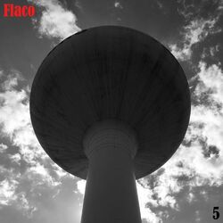 Cover of 5