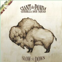 Cover of Slow Down