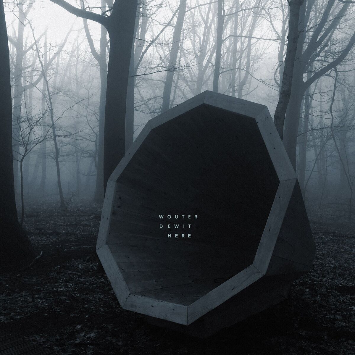 Album cover of Listen to the Wind.