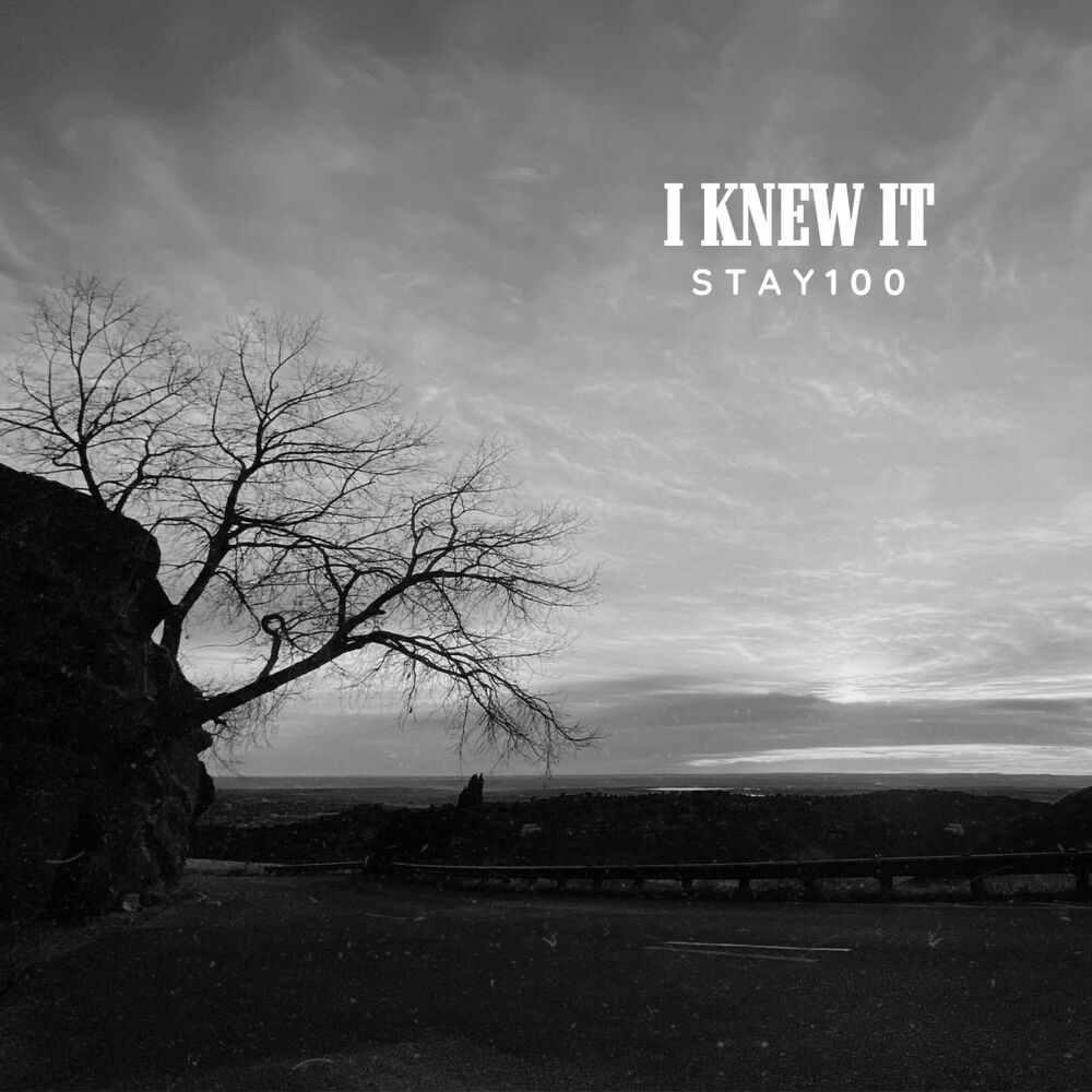Picture of I Knew It