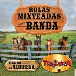 Cover of Rolas Mixteadas Con Banda (Banda)