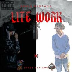 Cover of Lite Work