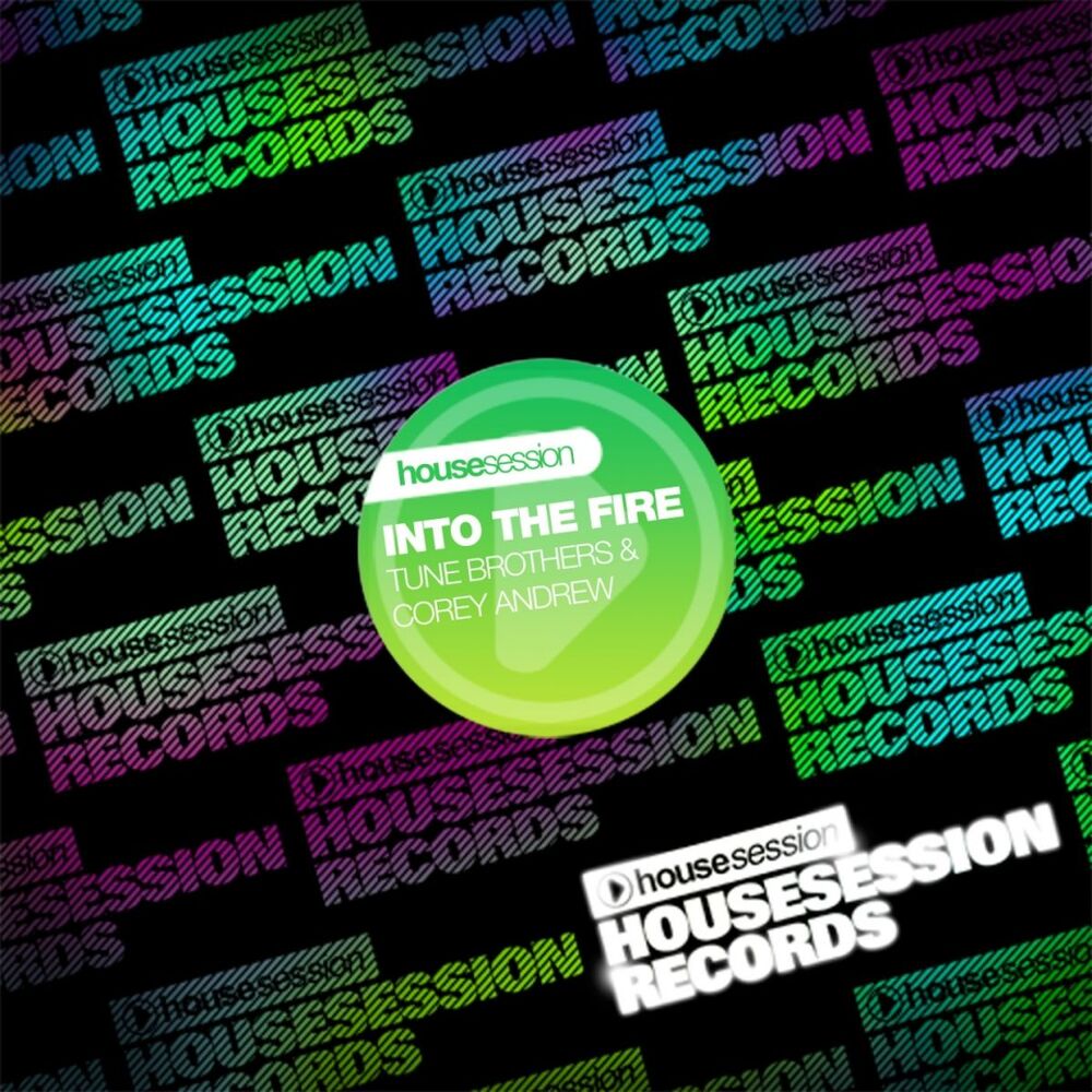 Picture of Into the Fire