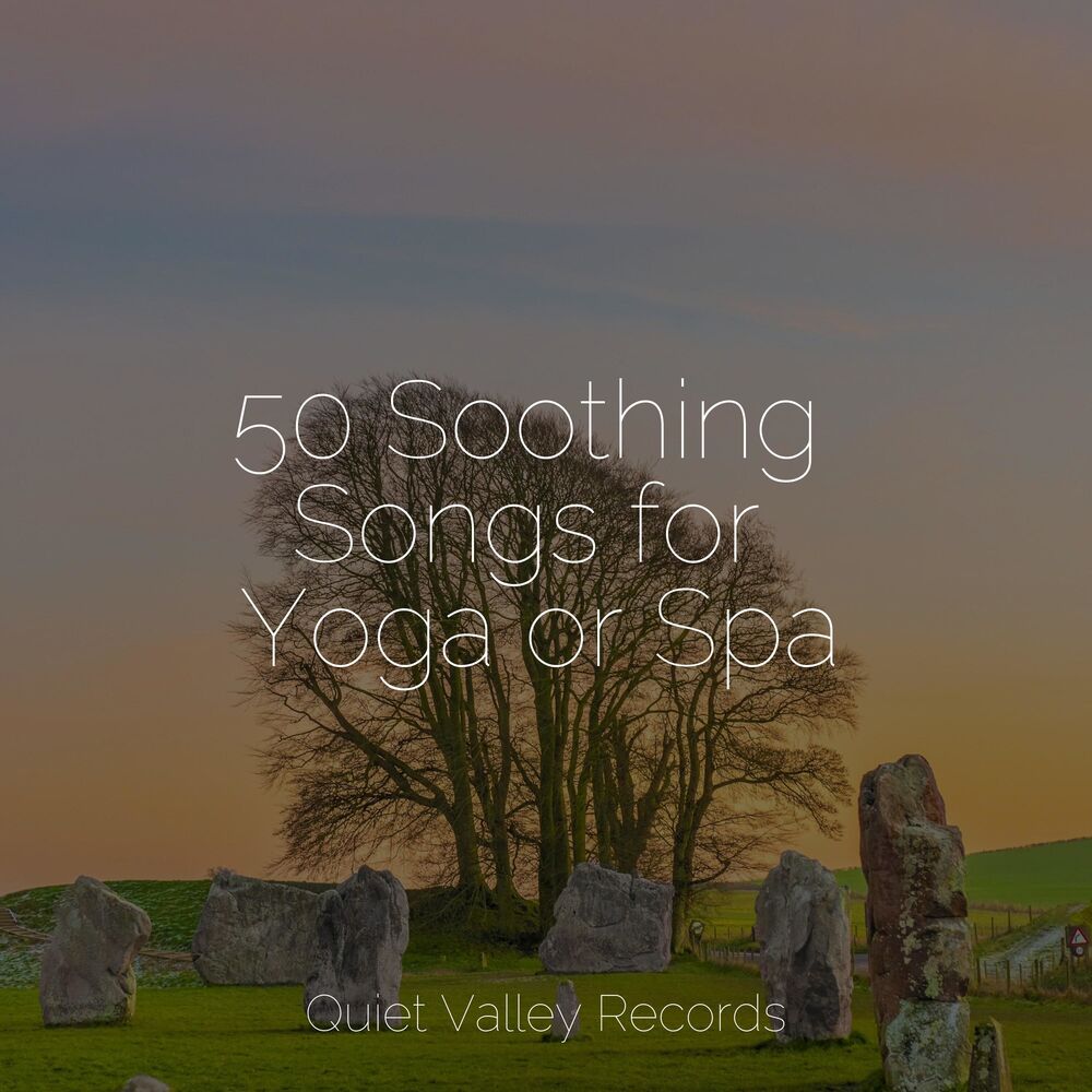 Picture of 50 Soothing Songs for Yoga or Spa