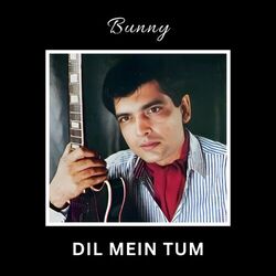 Cover of Dil Mein Tum