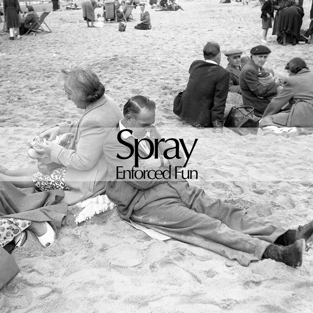 Picture of Enforced Fun