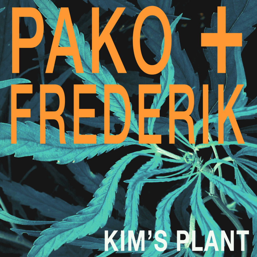 Picture of Kim's Plant