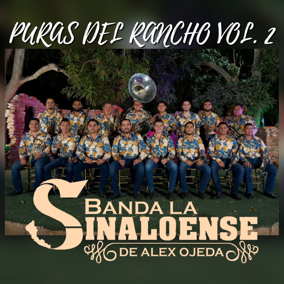 Album cover of Puras del Rancho vol. 2 (En Vivo)