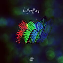 Cover of butterflies