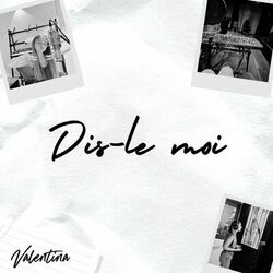 Cover of Dis-le moi