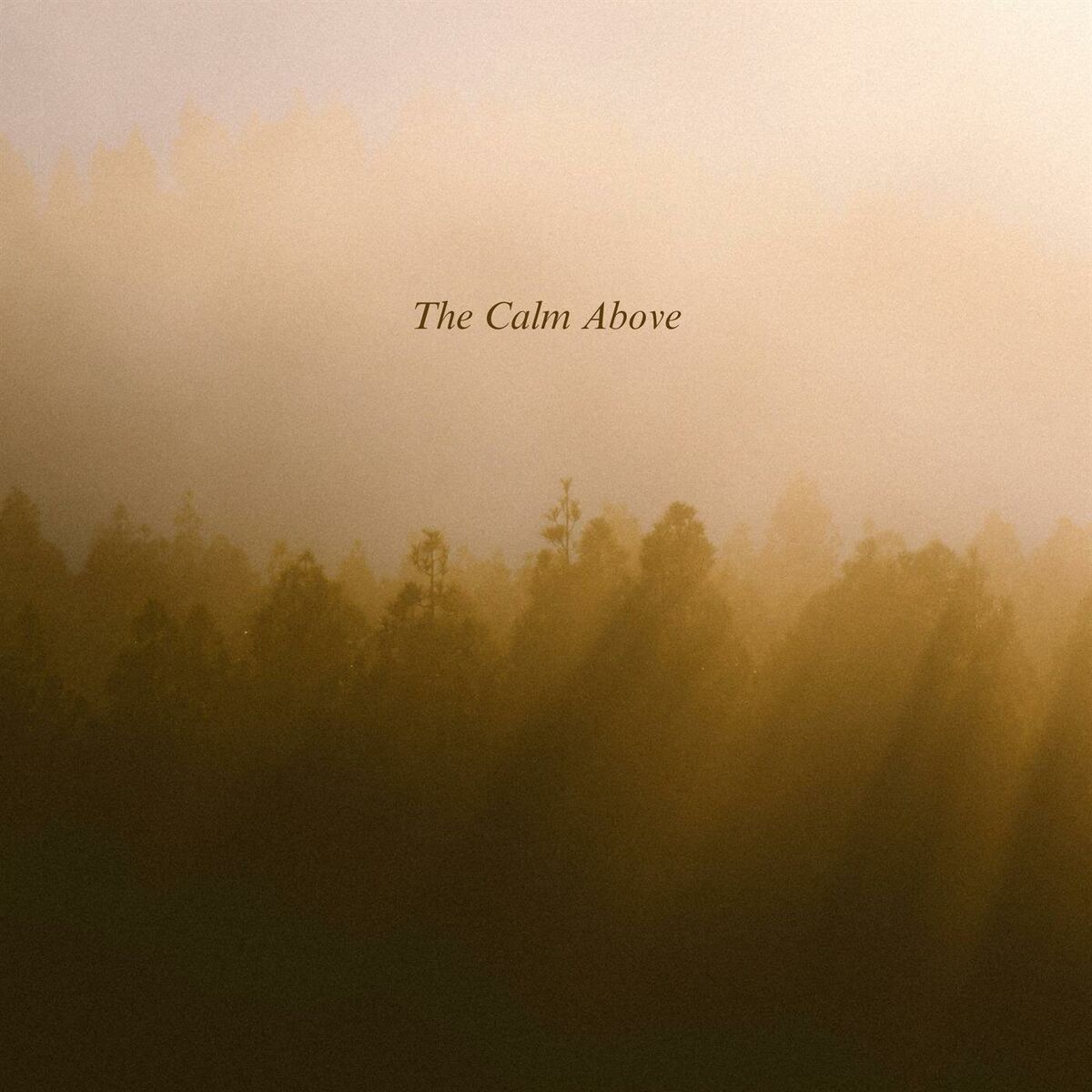 Album cover of The Calm Above
