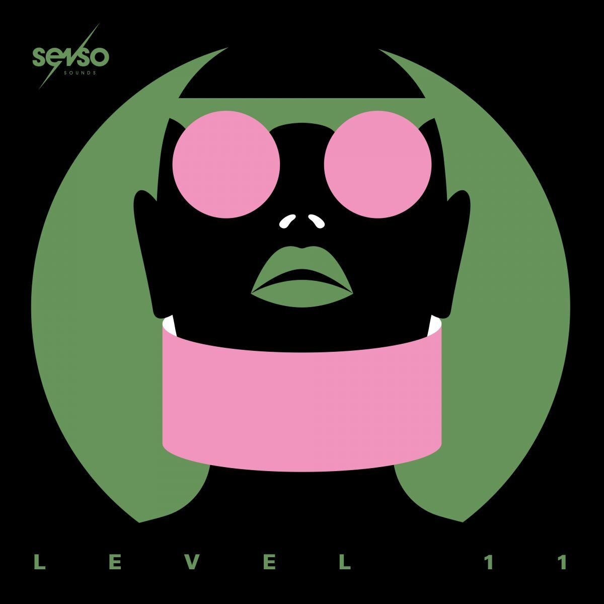 Album cover of Senso Sounds Level 11
