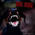 Big Dog