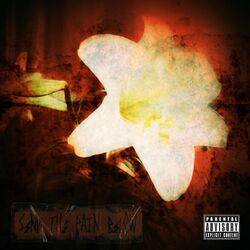 Cover of Roots Bloody Roots