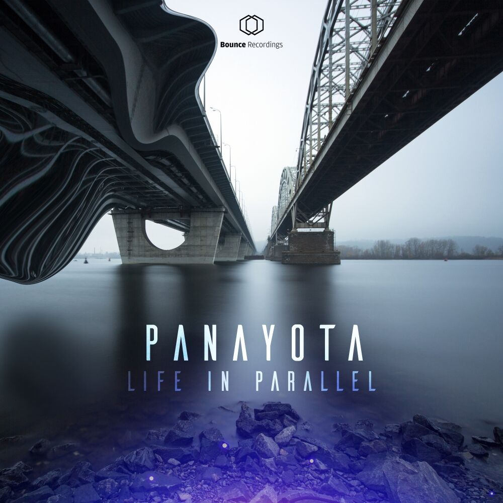 Picture of Life In Parallel