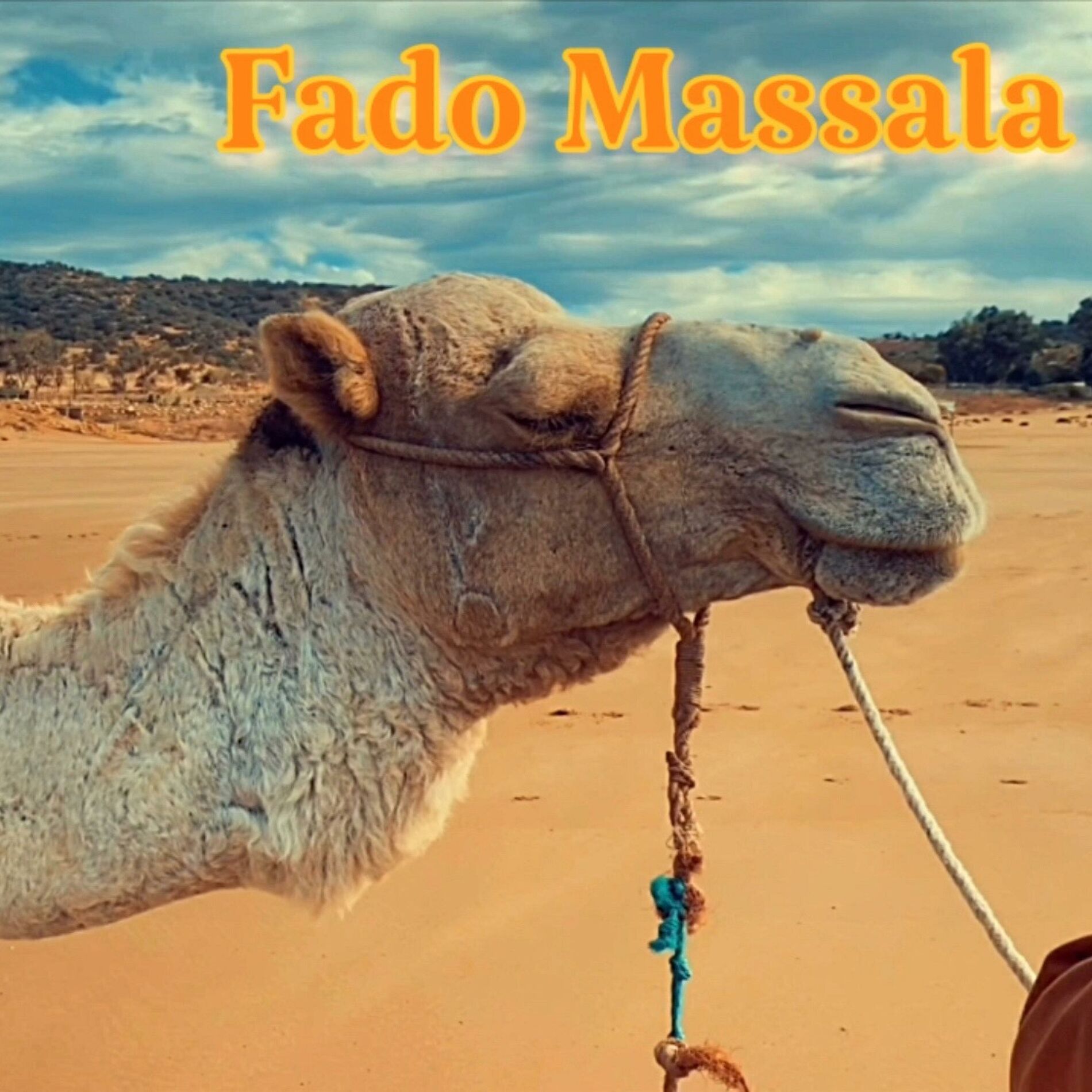 Album cover of Fado Massala (feat. Cuca Roseta & Mahesh Vinayakram)