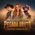 Pegada Bruta
