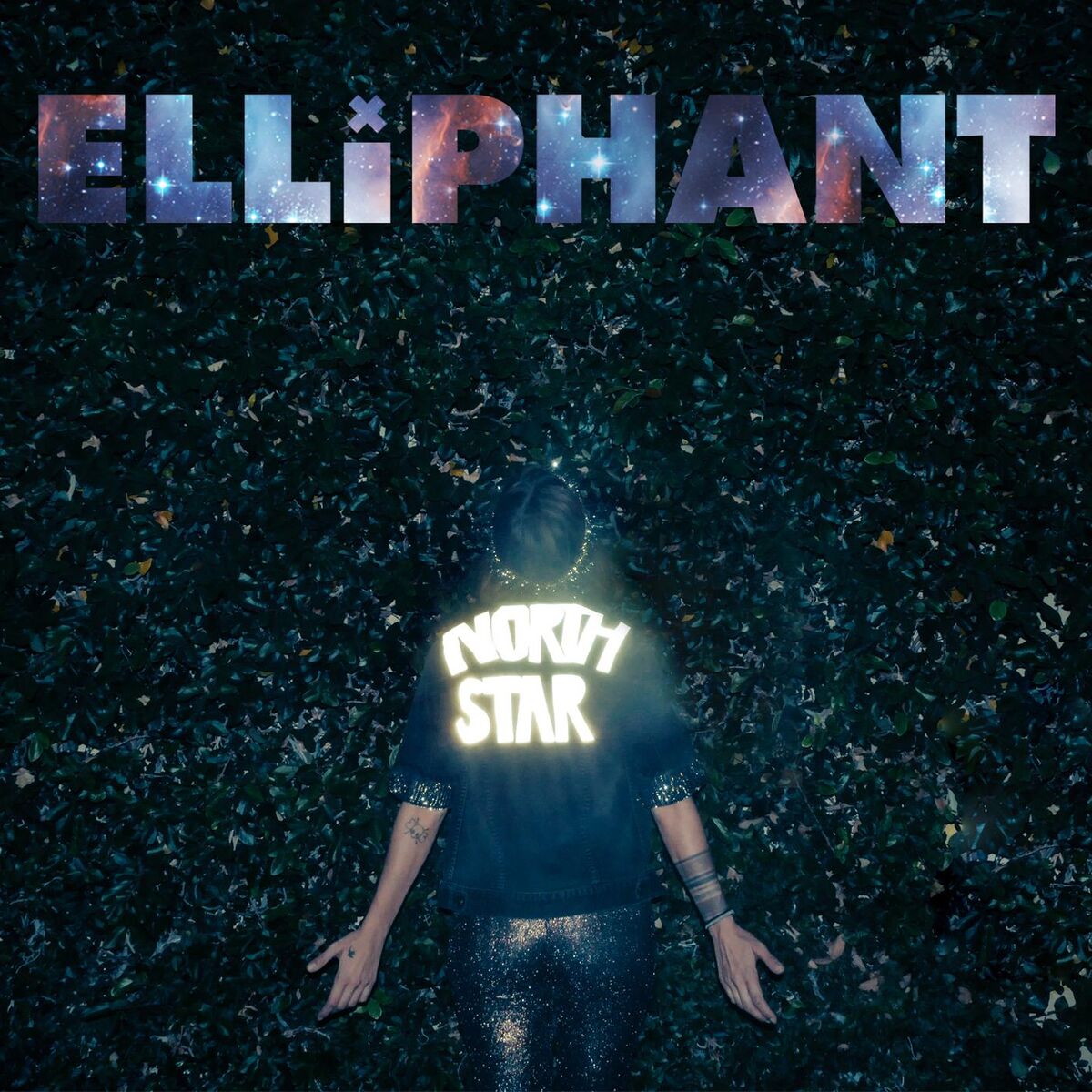 Album cover of North Star (Bloody Christmas)