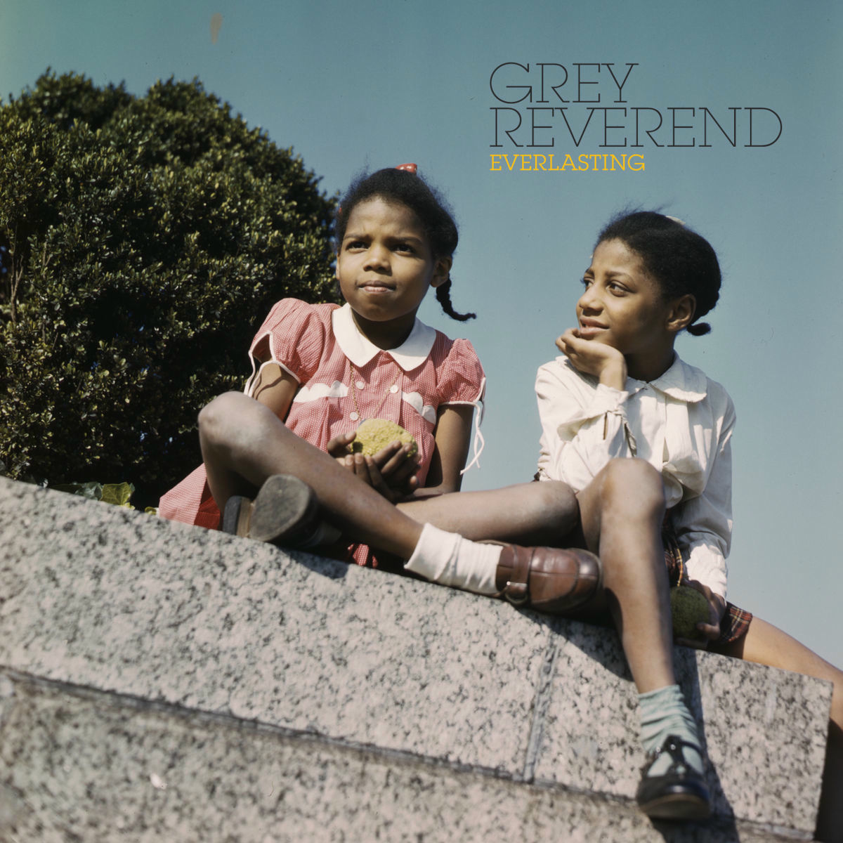 Album cover of Everlasting