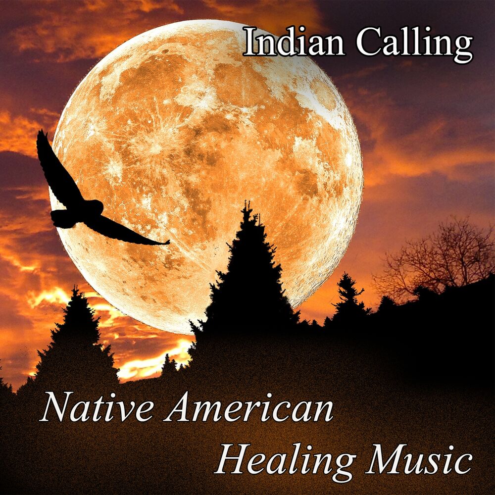 Picture of Native American Healing Music