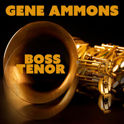 music cover