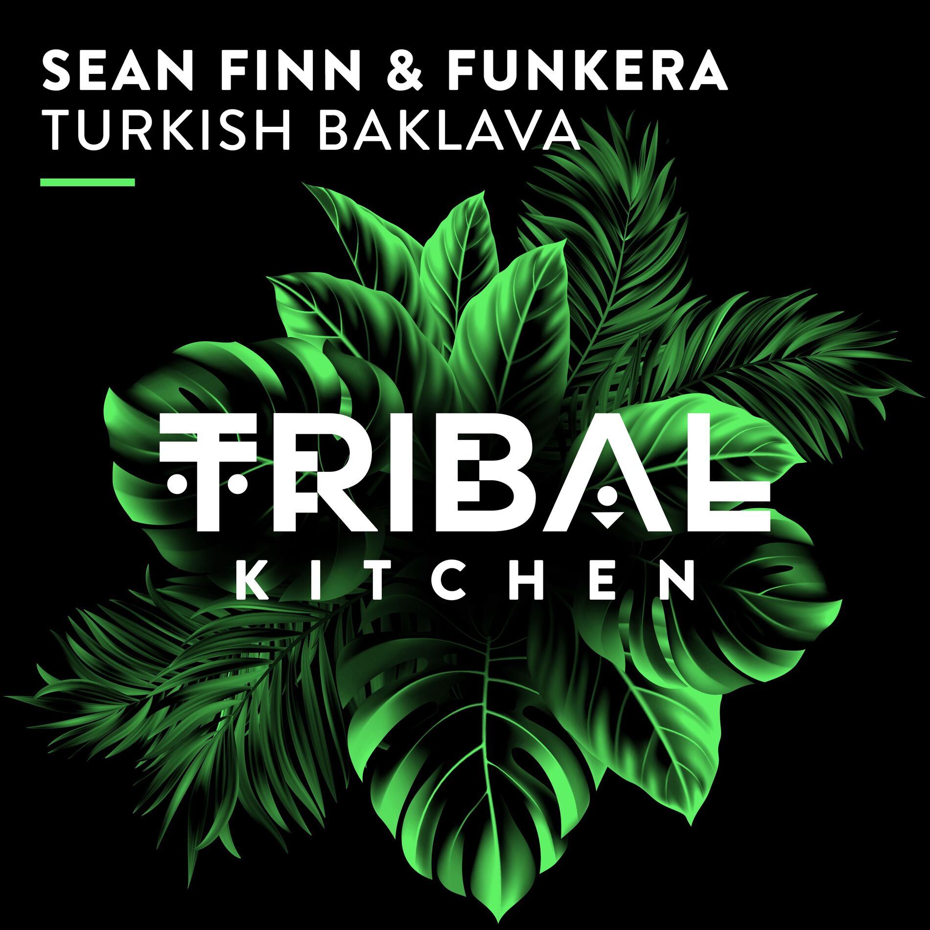 Album cover of Turkish Baklava