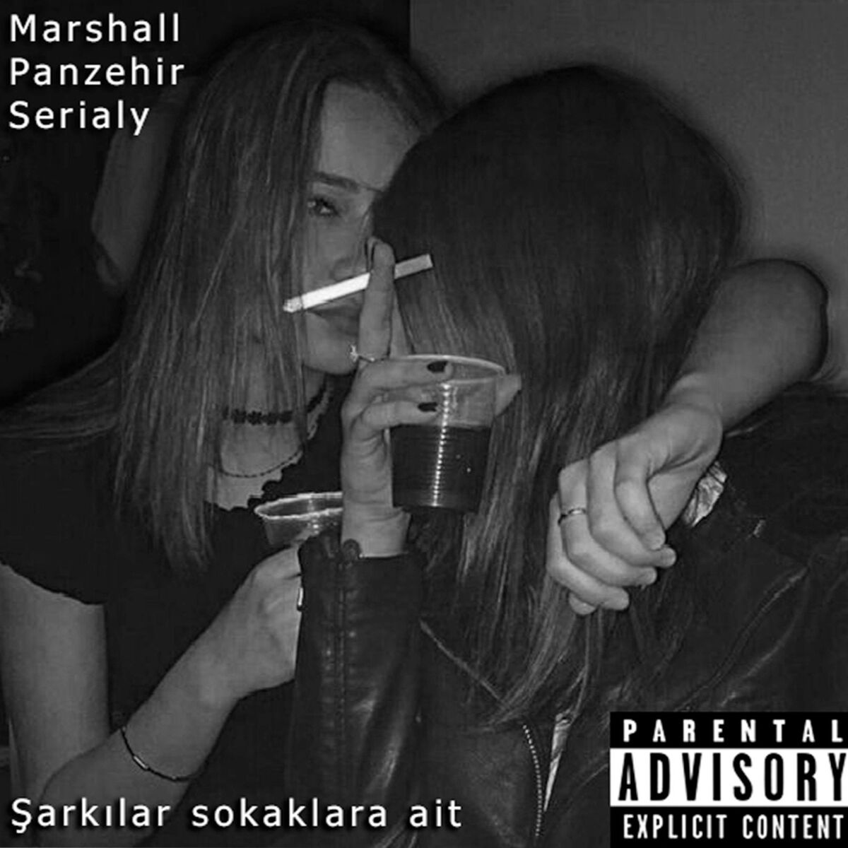Album cover of Şarkılar Sokaklara Ait