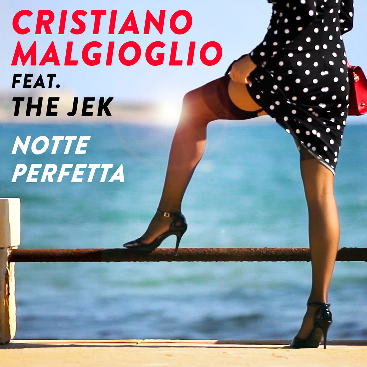 Album cover of Notte perfetta