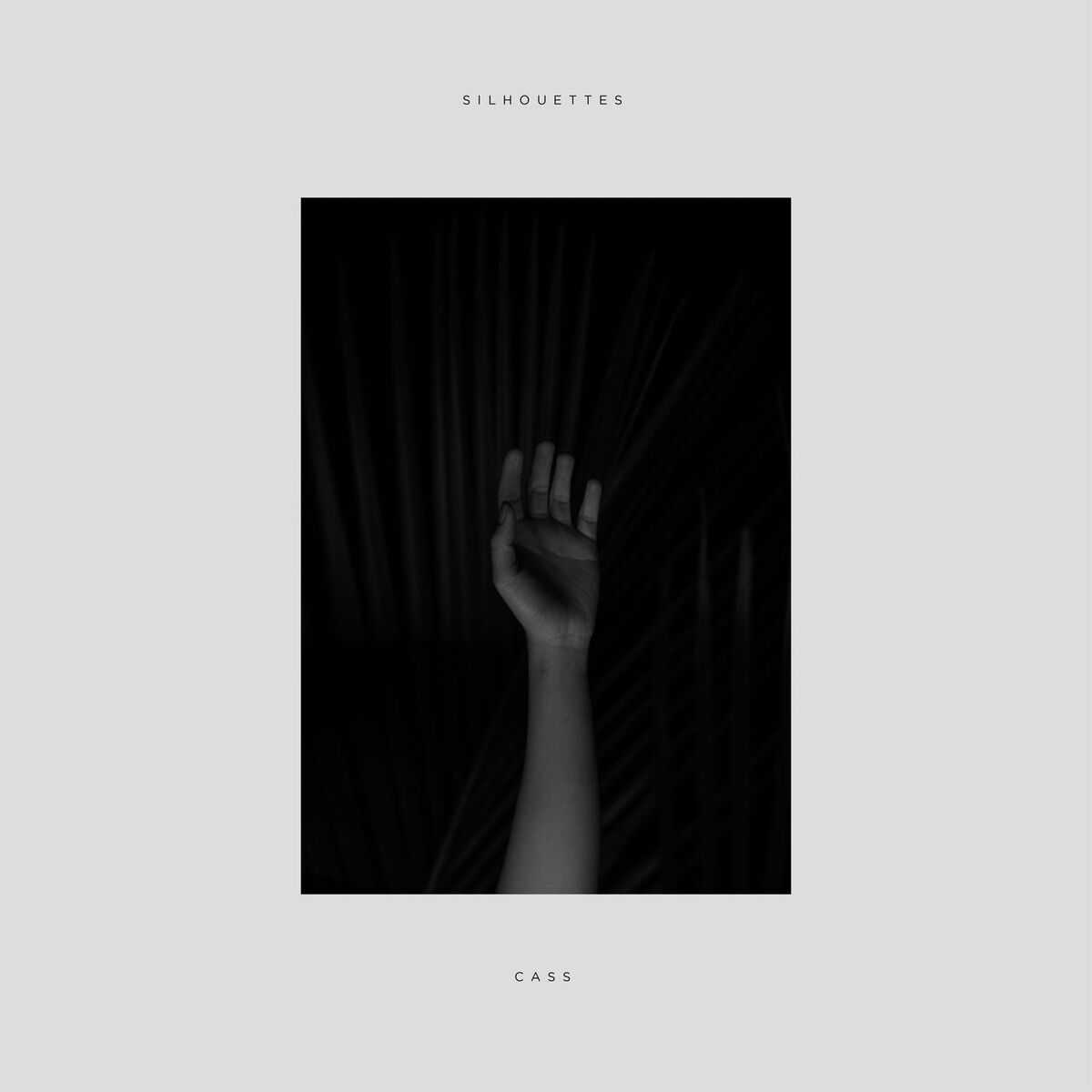Album cover of Silhouettes