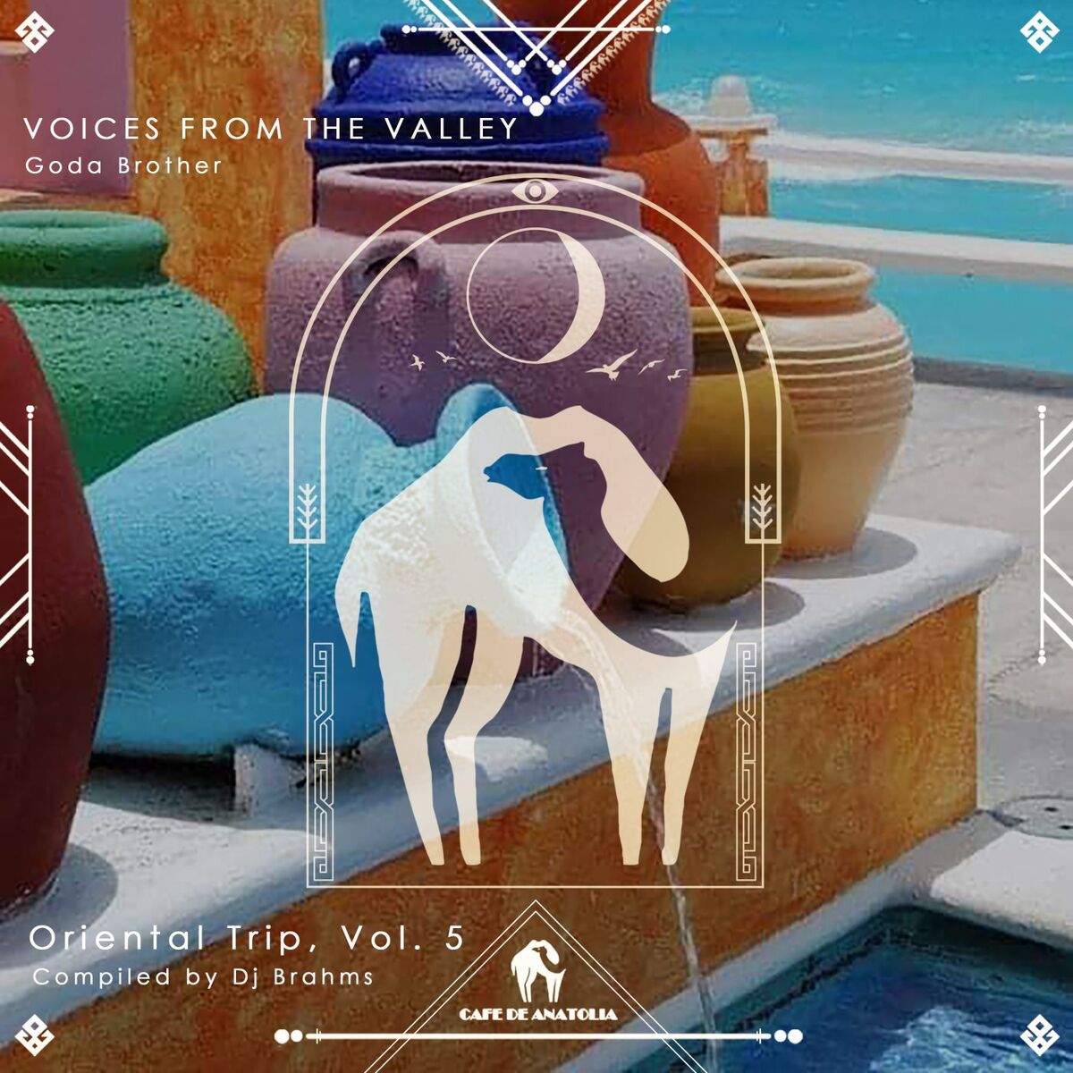 Album cover of Voices From the Valley