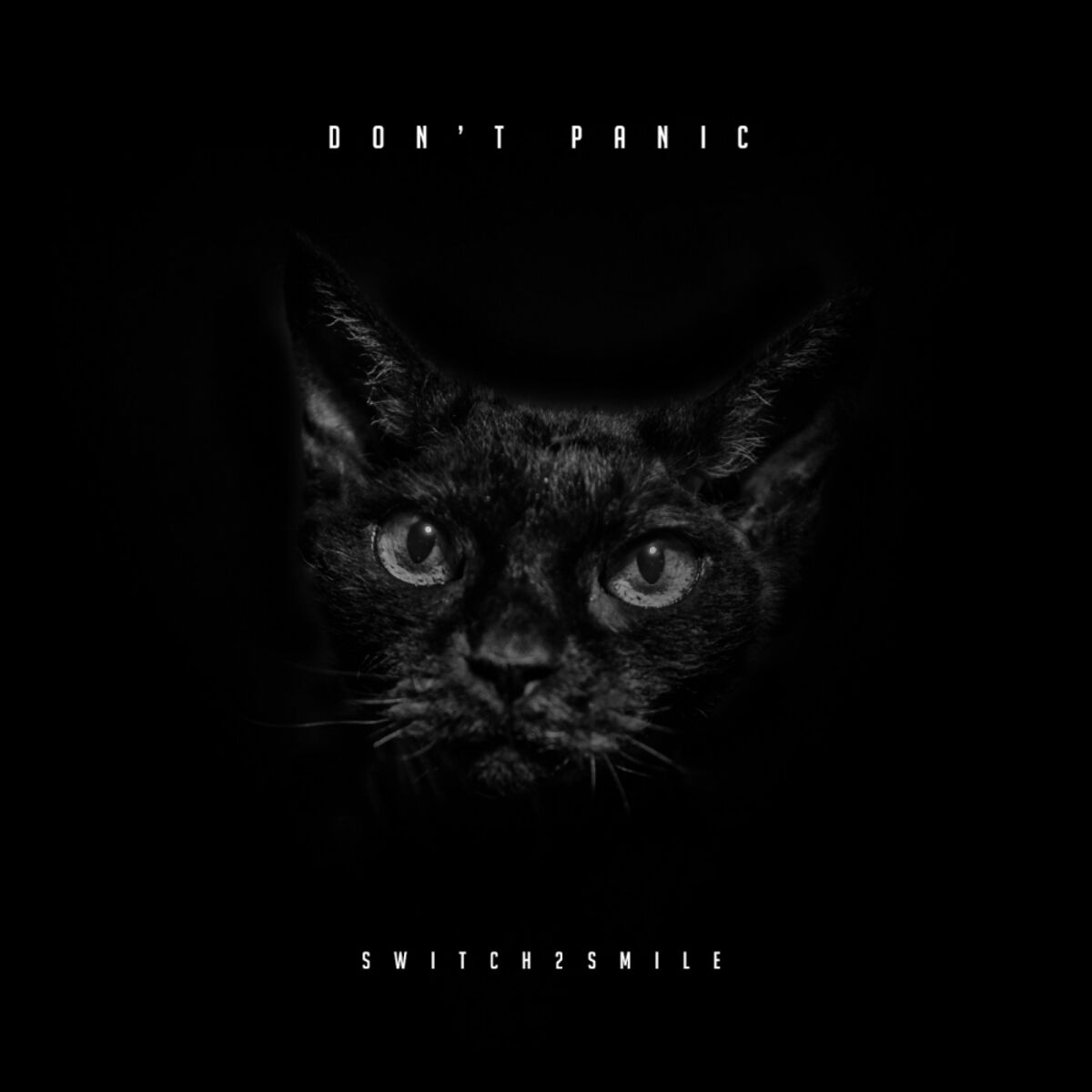 Album cover of Don't Panic