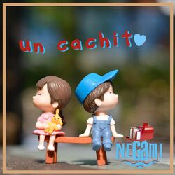 Cover of Un Cachito