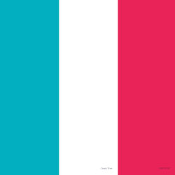 Cover of Conti New