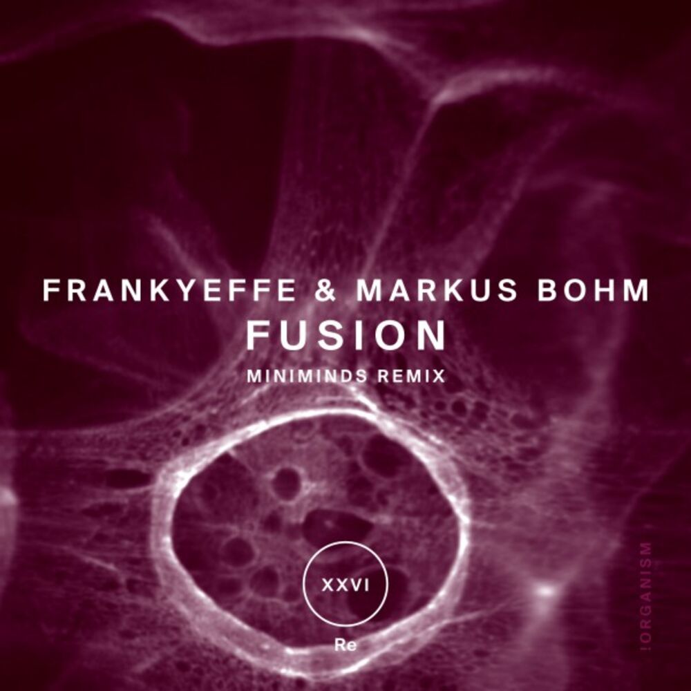 Picture of Fusion