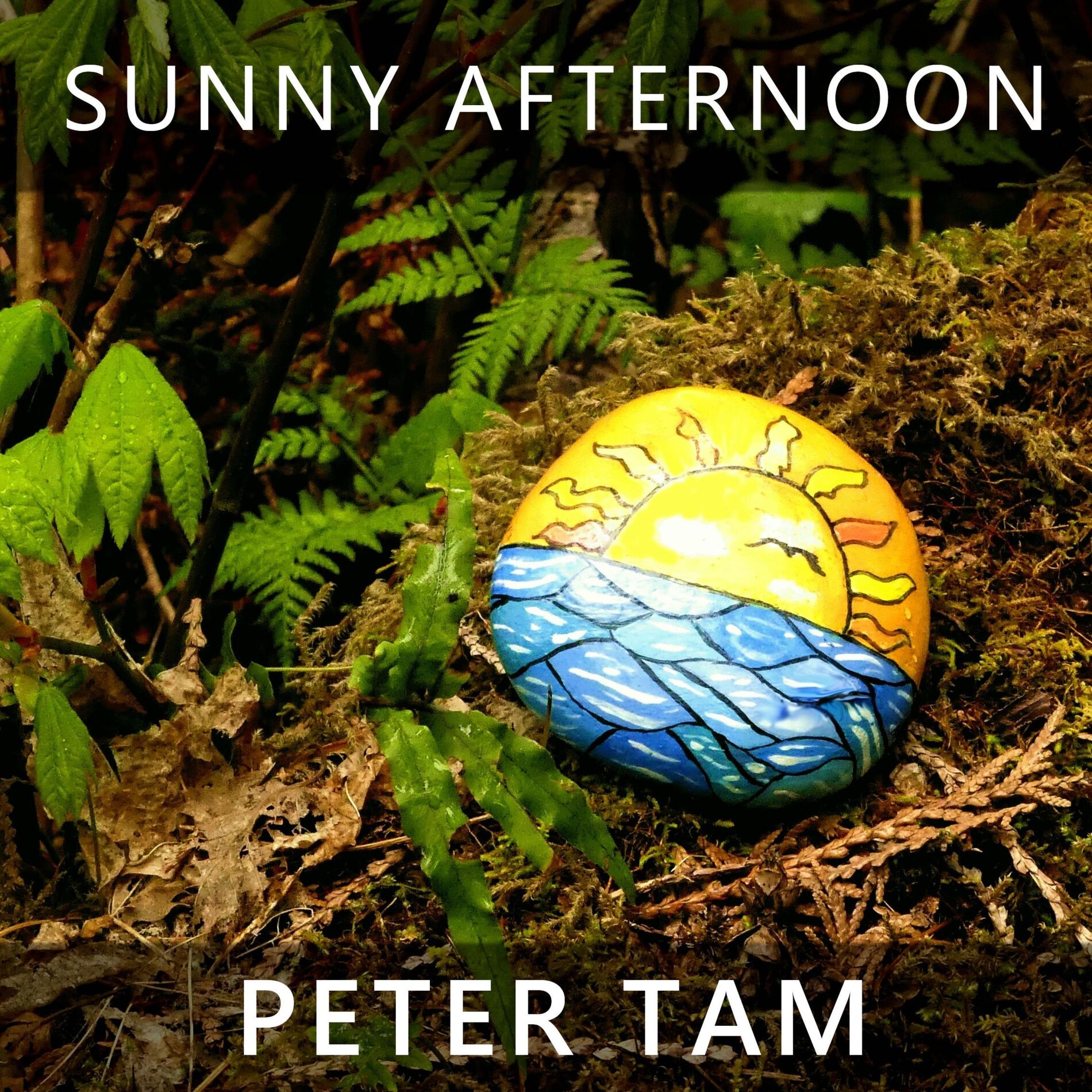 Album cover of Sunny Afternoon