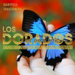 Cover of Mariposa Traicionera (En Vivo)