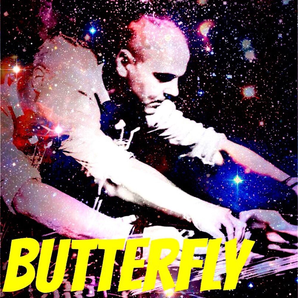 Picture of Butterfly
