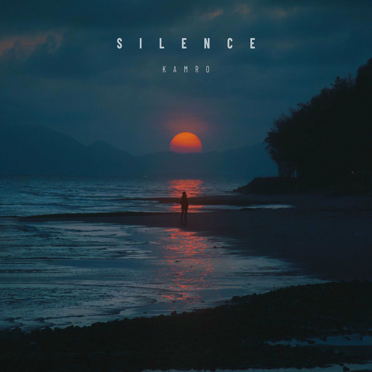 Album cover of Silence