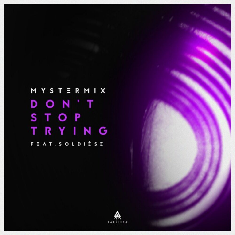 Picture of Don't Stop Trying