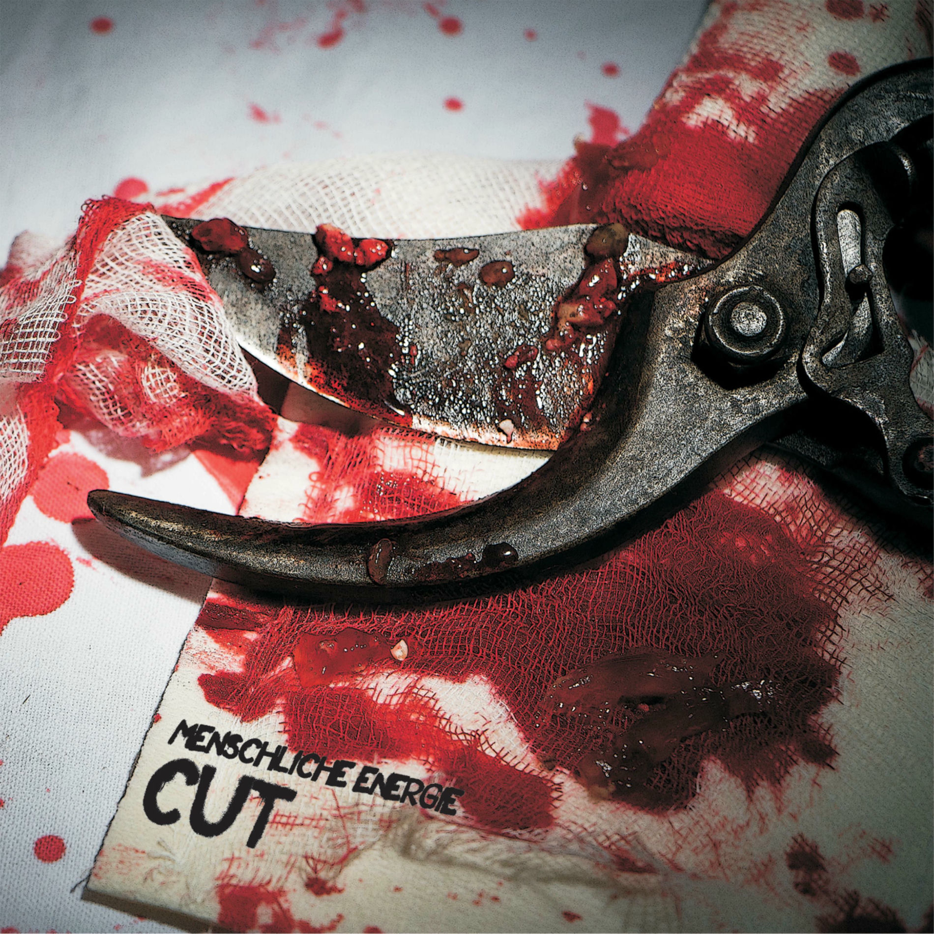 Album cover of Cut