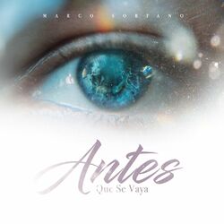 Cover of Antes Que Se Vaya