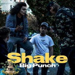 Cover of SHAKE
