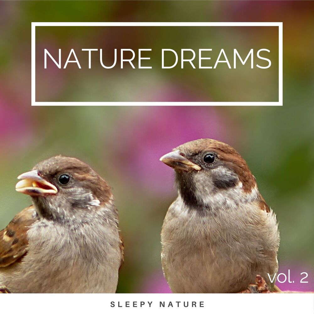 Picture of 2022 Nature Dreams vol. 2