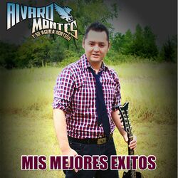 Cover of Mis Mejores Exitos